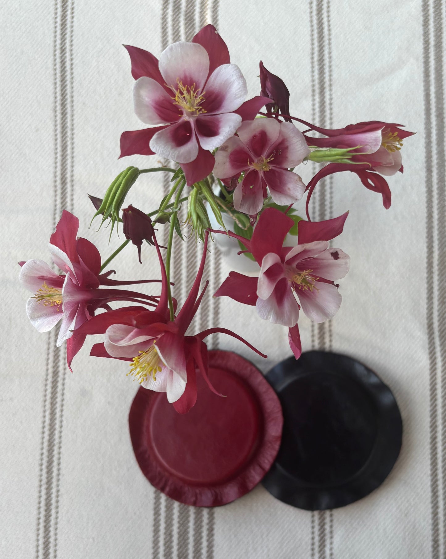 Large Pair Biomagnets (3 in. diameter)