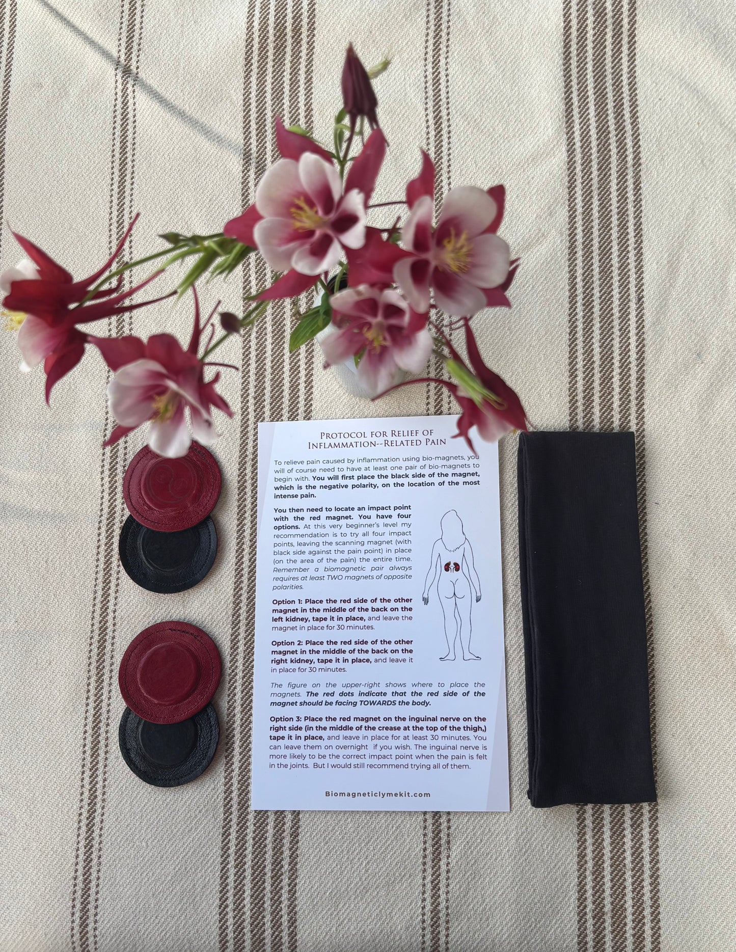 Biomagnetic Pain Relief Kit