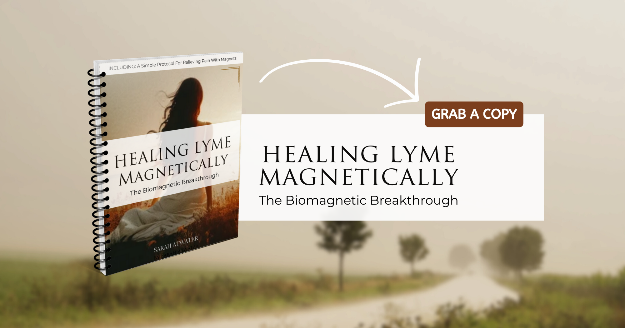 Healing Lyme Lyme kit