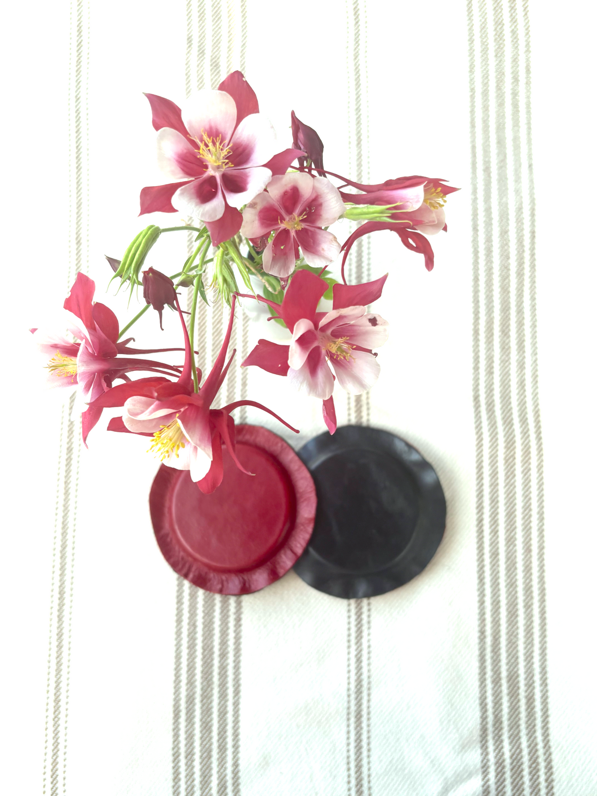 Large Pair Biomagnets (3 in. diameter)