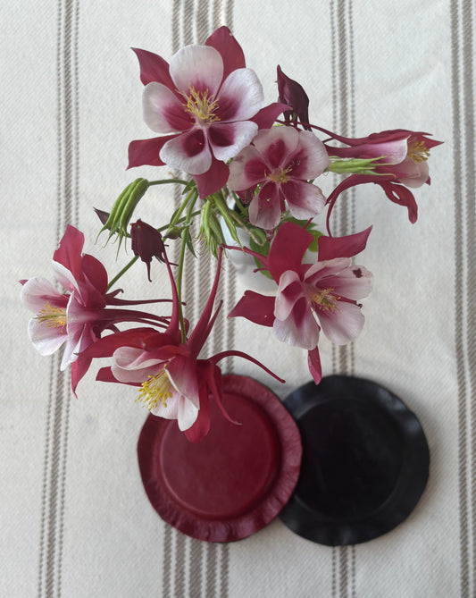 Large Pair Biomagnets (3 in. diameter)