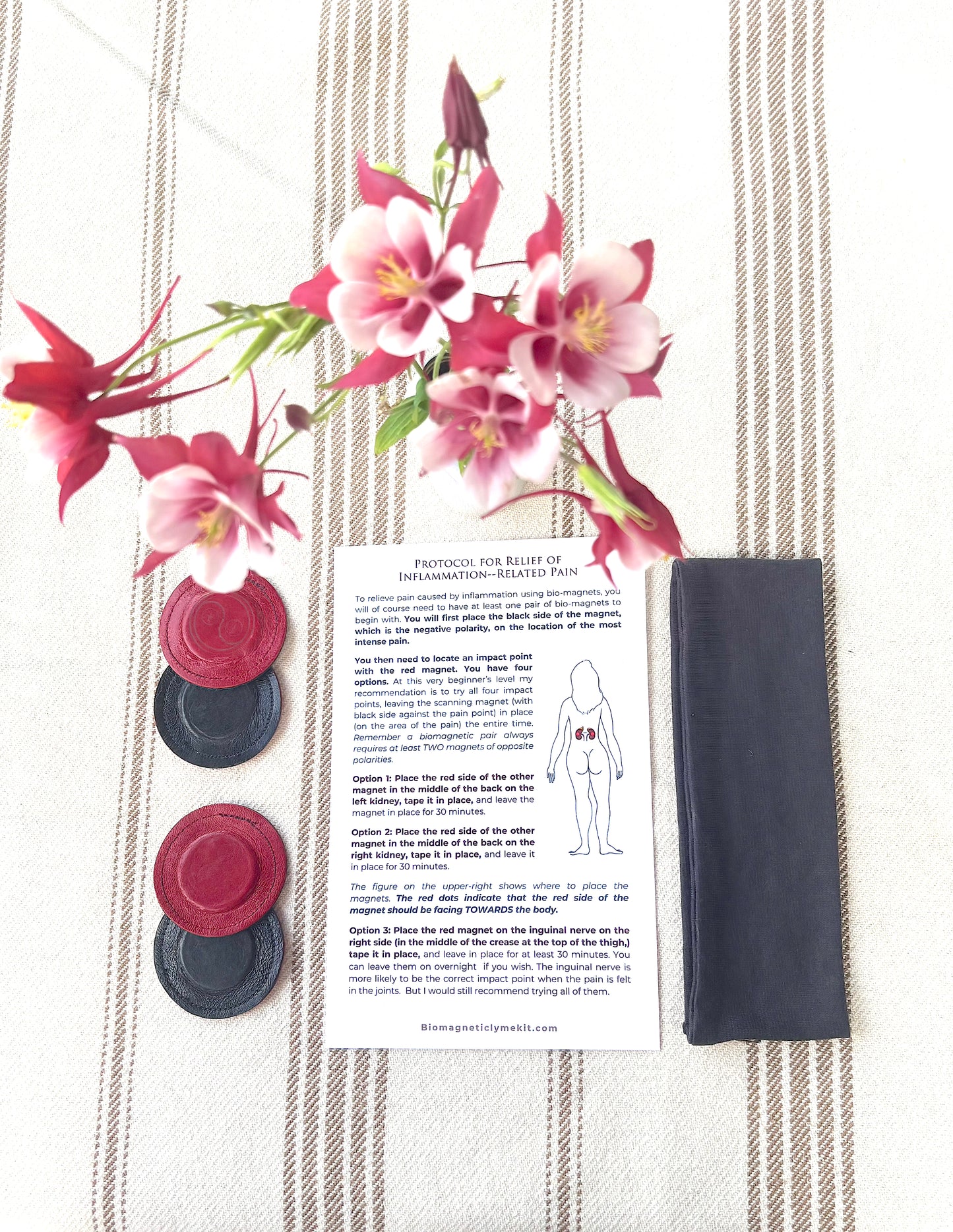 Biomagnetic Pain Relief Kit