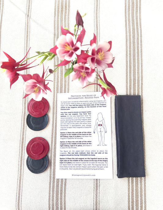 Biomagnetic Pain Relief Kit